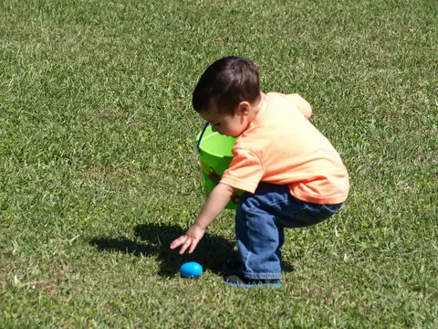 Annual BBQ 2015 — photo 4