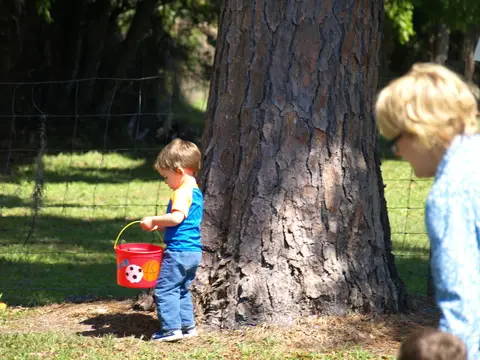 Annual BBQ 2015 — photo 5