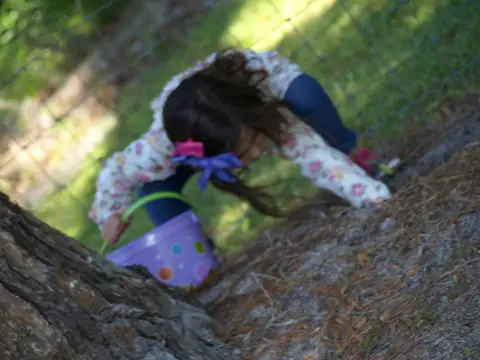 Annual BBQ 2015 — photo 15