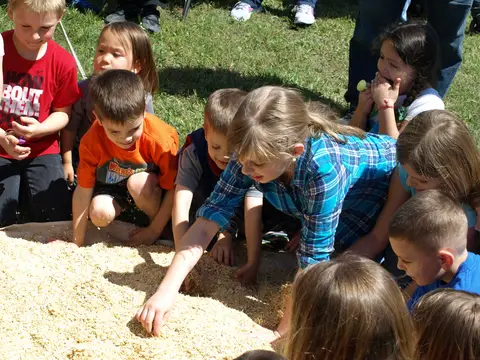 Annual BBQ 2015 — photo 17