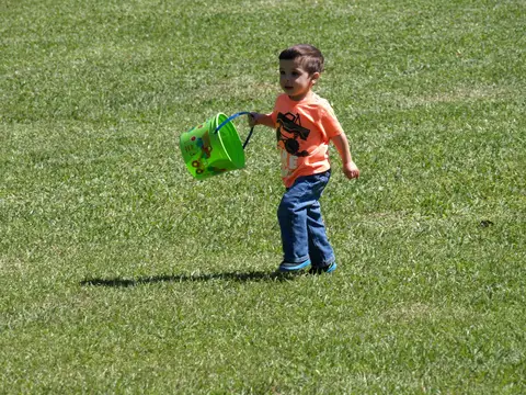 Annual BBQ 2015 — photo 21