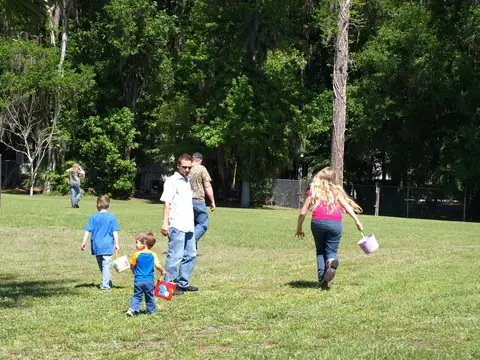 Annual BBQ 2015 — photo 22