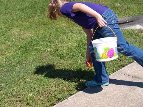 Annual BBQ 2015 — photo 36