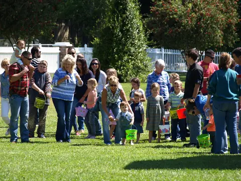 Annual BBQ 2015 — photo 42
