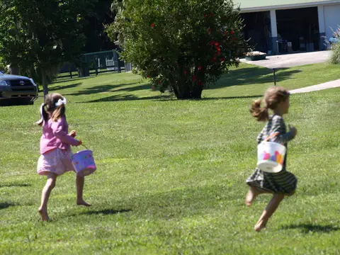 Annual BBQ 2015 — photo 59