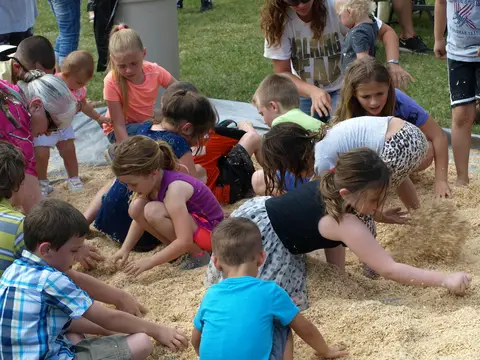 Annual BBQ 2016 — photo 8