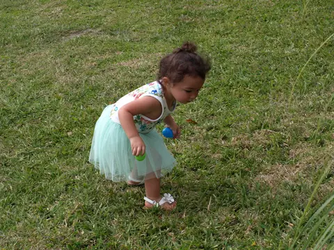 Annual BBQ 2016 — photo 39