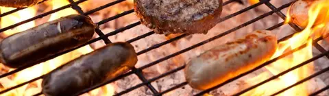 Annual BBQ 2017 cover