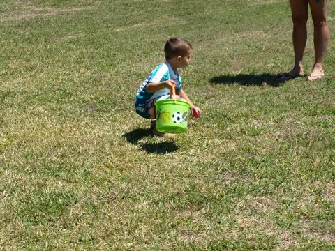 Annual BBQ 2017 — photo 135