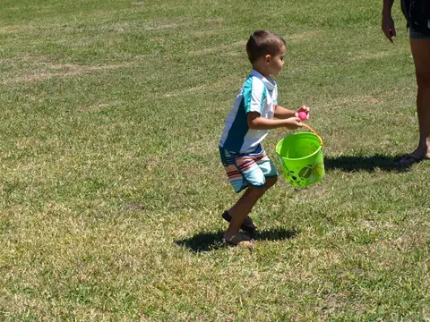 Annual BBQ 2017 — photo 136
