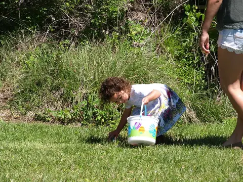 Annual BBQ 2017 — photo 140