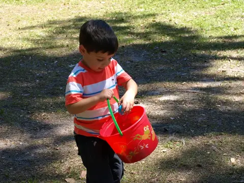 Annual BBQ 2017 — photo 178