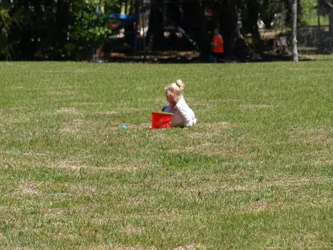 Annual BBQ 2017 — photo 181
