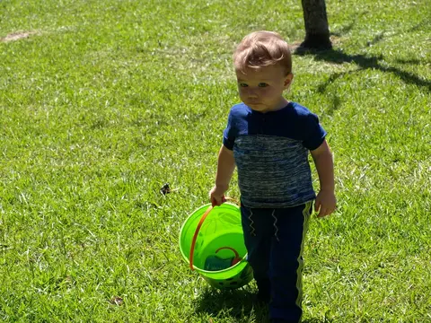 Annual BBQ 2017 — photo 183