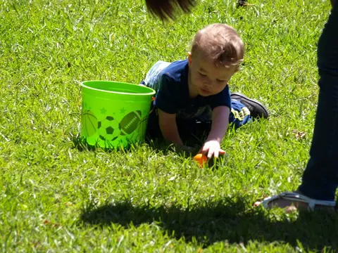 Annual BBQ 2017 — photo 185