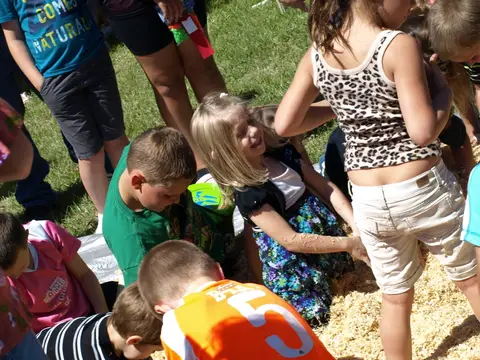 Annual BBQ 2017 — photo 254