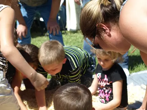 Annual BBQ 2017 — photo 255