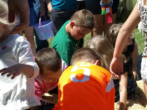 Annual BBQ 2017 — photo 256