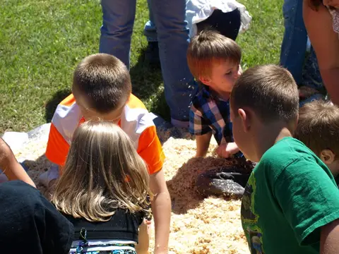 Annual BBQ 2017 — photo 257