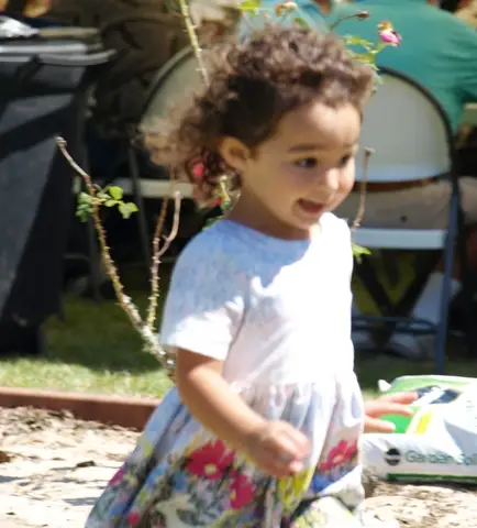 Annual BBQ 2017 — photo 282