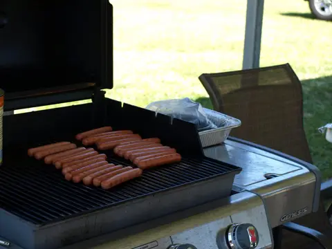 Annual BBQ 2018 — photo 23