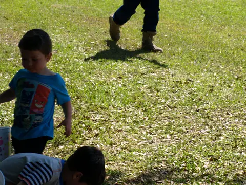 Annual BBQ 2018 — photo 101