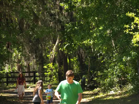 Annual BBQ 2018 — photo 123