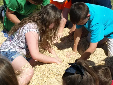 Annual BBQ 2018 — photo 138