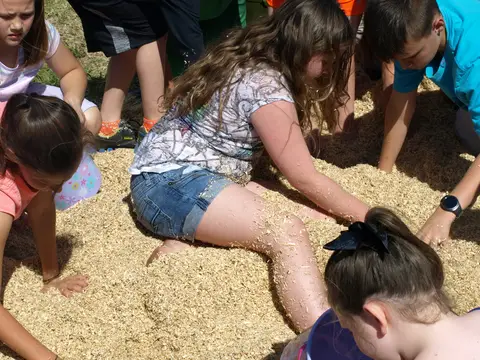 Annual BBQ 2018 — photo 139