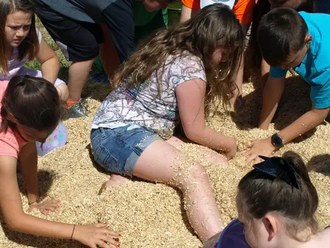 Annual BBQ 2018 — photo 140