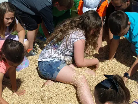 Annual BBQ 2018 — photo 141