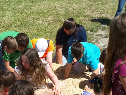Annual BBQ 2018 — photo 143