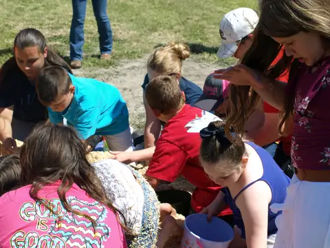 Annual BBQ 2018 — photo 146