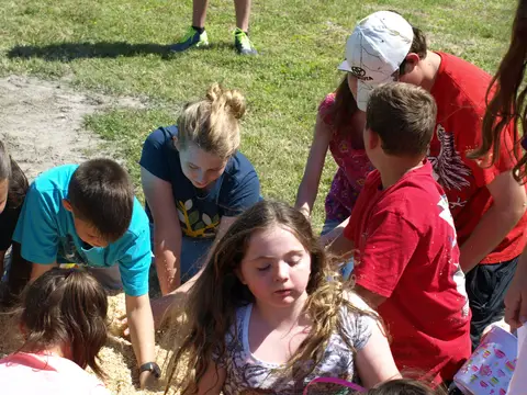 Annual BBQ 2018 — photo 149