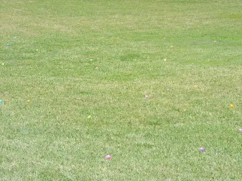 Annual BBQ 2019 — photo 72