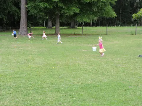 Annual BBQ 2019 — photo 78
