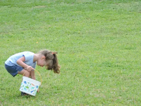 Annual BBQ 2019 — photo 88