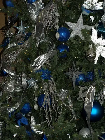 Christmas & Graduation Party 2017 cover