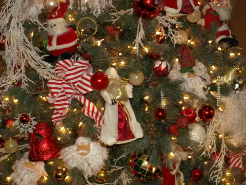 Christmas & Graduation Party 2018 cover