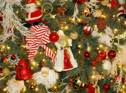 Christmas & Graduation Party 2018 — photo 17