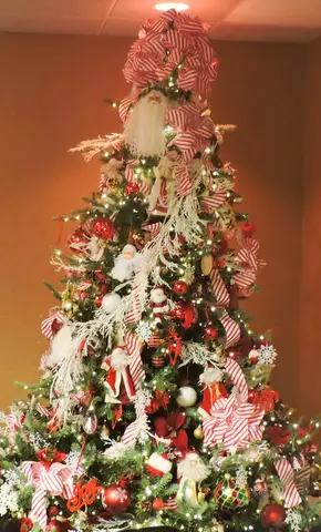 Christmas & Graduation Party 2019 cover