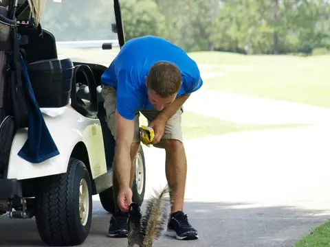 Golf Tournament 2016 — photo 202