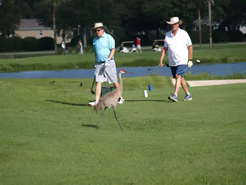 Golf Tournament 2018 — photo 27