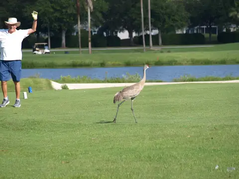 Golf Tournament 2018 — photo 28