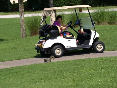 Golf Tournament 2018 — photo 86