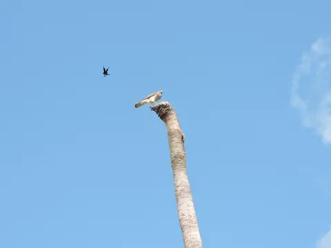 Golf Tournament 2019 — photo 76