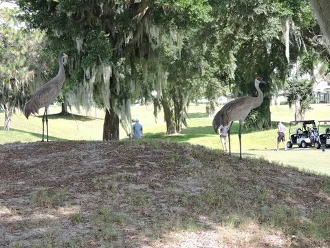 Golf Tournament 2019 — photo 78
